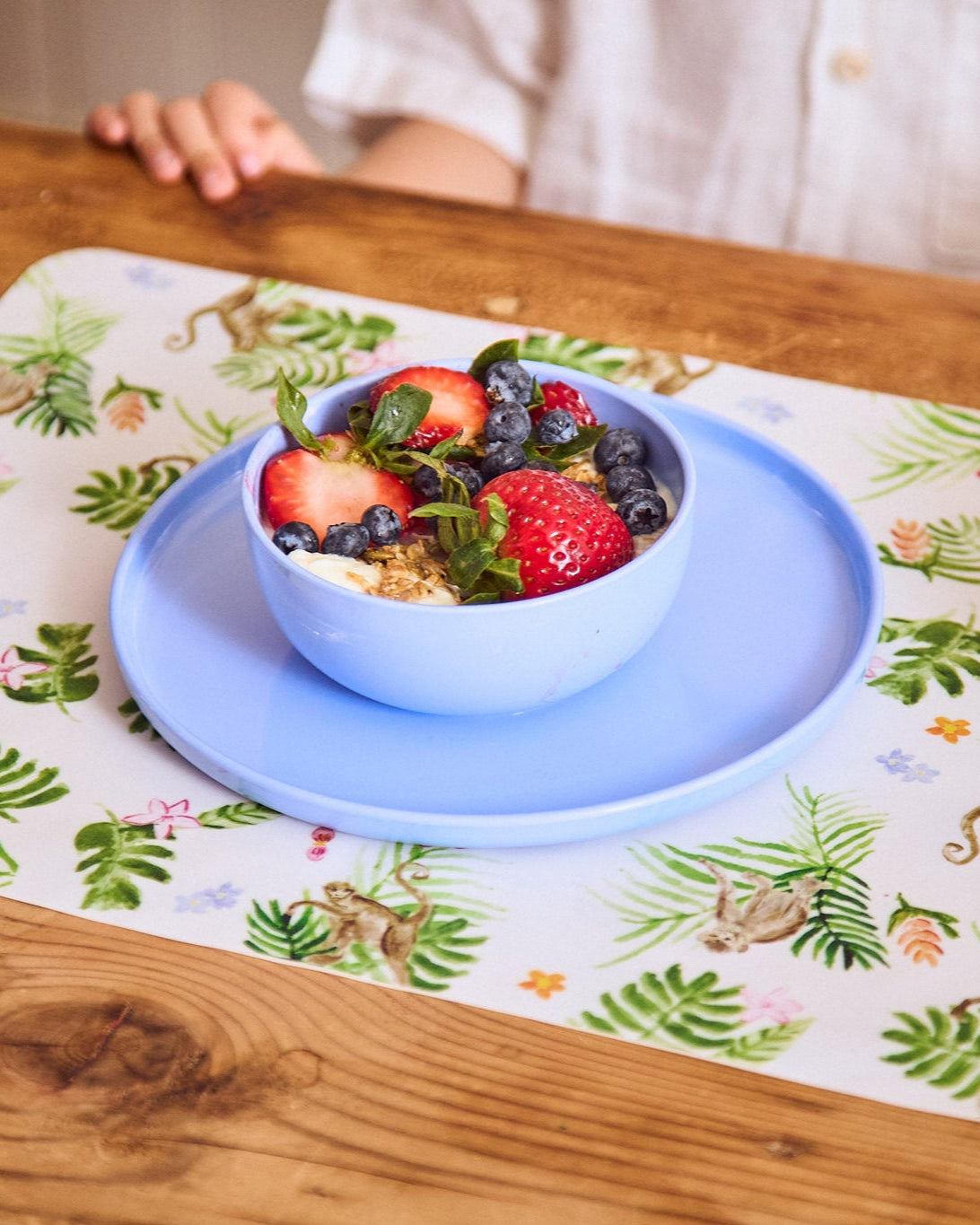 childrens placemat with monkeys